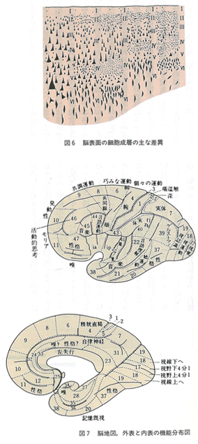 図