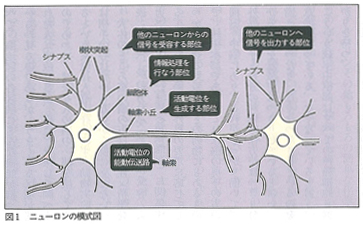 図1