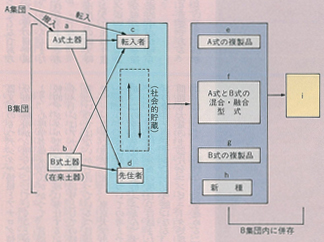 図1 土器型式の情報の流れ