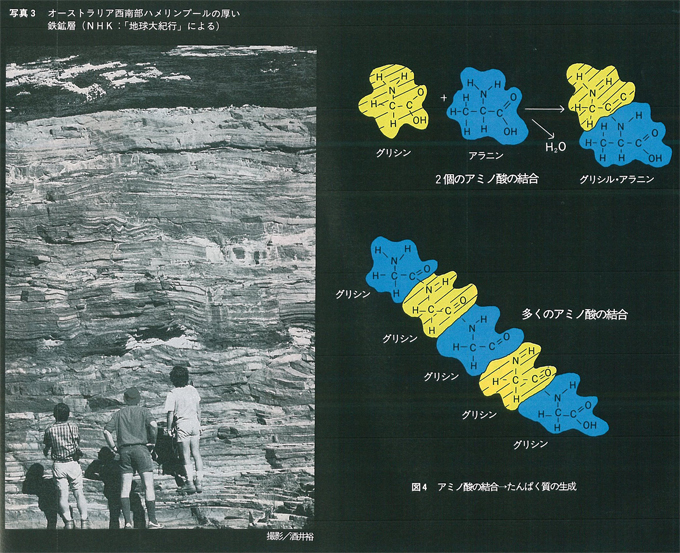 図・写真