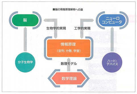 脳の情報原理解明への道