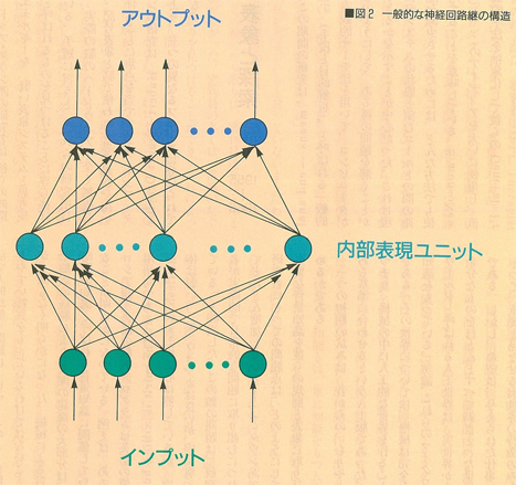 図2　一般的な神経回路継の構造