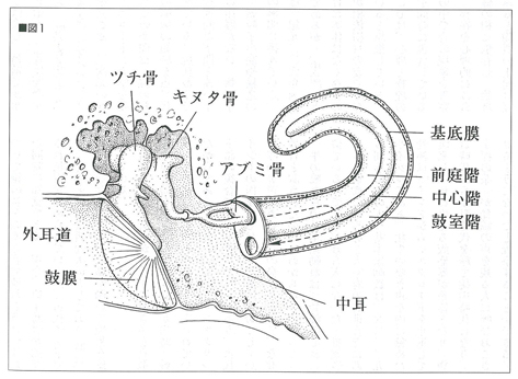 図1