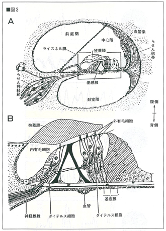 図3