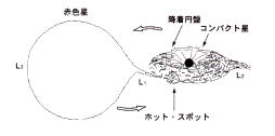 図2　降着円盤（アクリーションディスク）