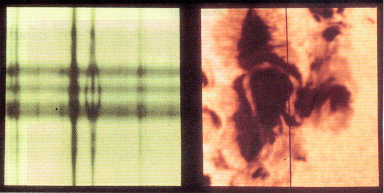 第3図　黒点付近で見たゼーマン効果（キットピーク国立天文台）