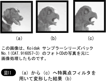 特異点フィルタを用いて変形した結果