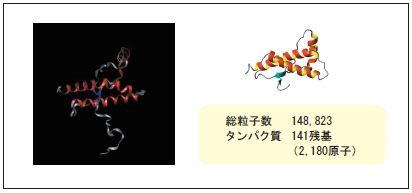 プリオン（PrP）のシミュレーション構造