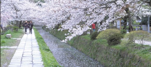 哲学の道