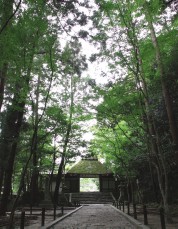 法然院の山門