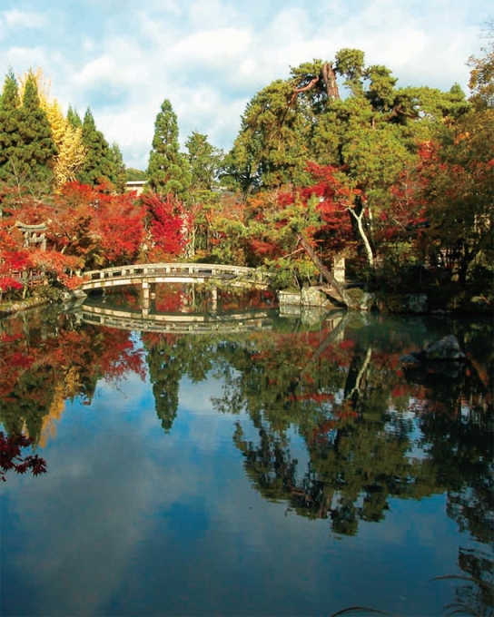 紅葉に囲まれた放生池（永観堂）