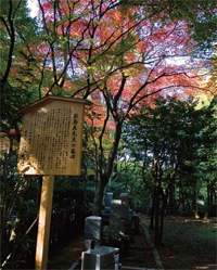 若王子山山頂に眠る新島襄の墓