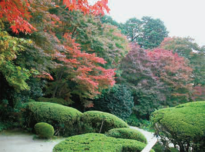 詩仙堂の庭園