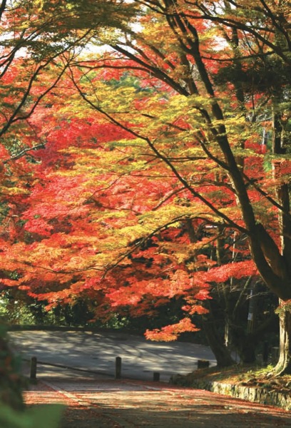 毘沙門天の紅葉