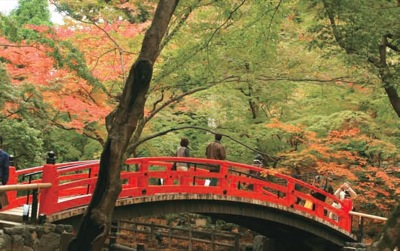 御土居の紅葉