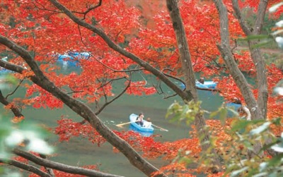 嵐山の紅葉