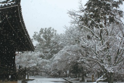 雪の仁和寺