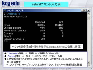 netstat コマンドの例