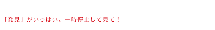 「発見」がいっぱい。一時停止して見て！