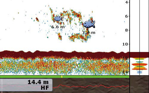 魚群探知機の画面
