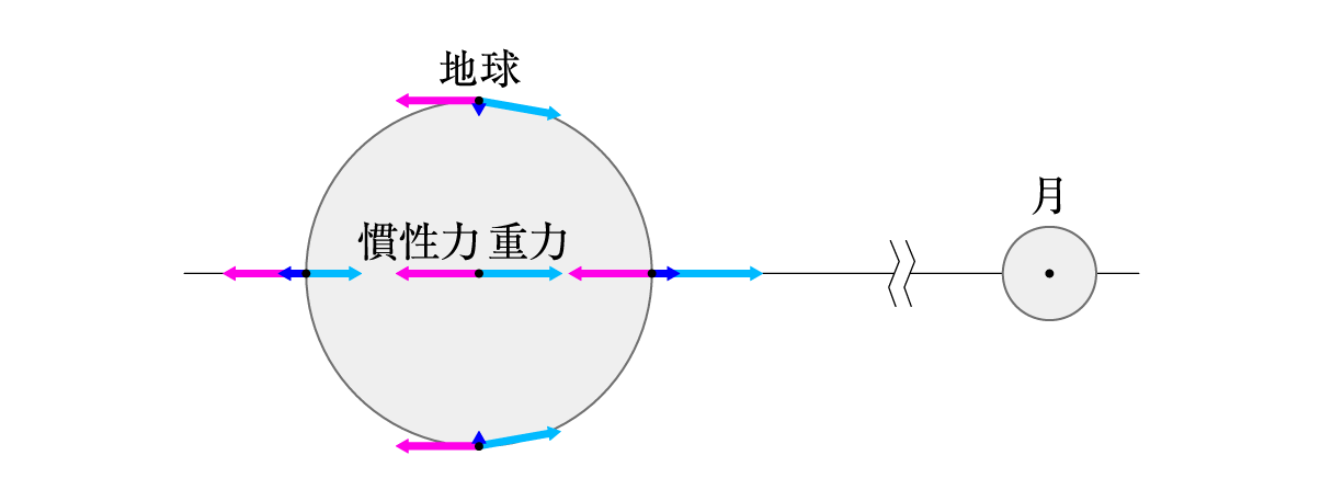 非回転系で見た潮汐力